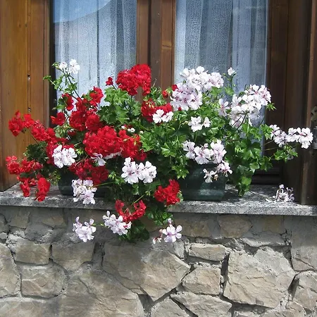 Apartment Al Pian Bormio